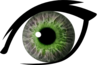 Eye L Green Image